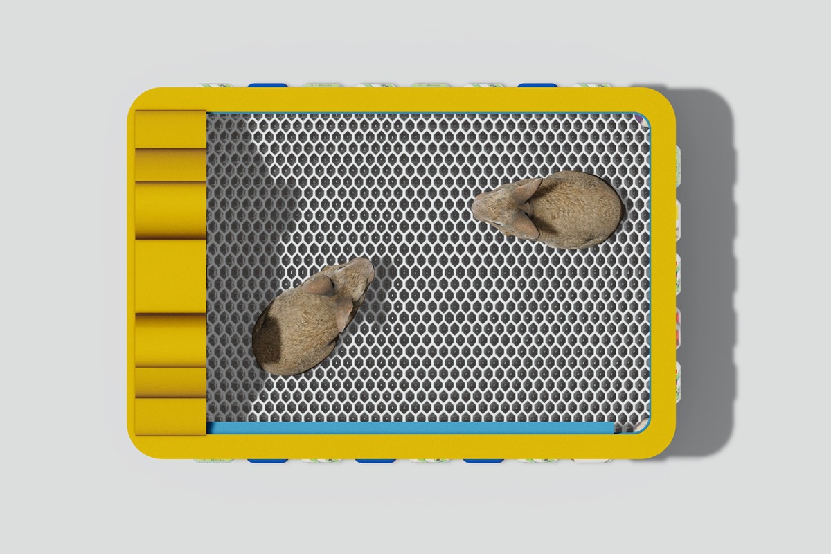 outdoor rabbit playground Interactive rabbit feeding station2