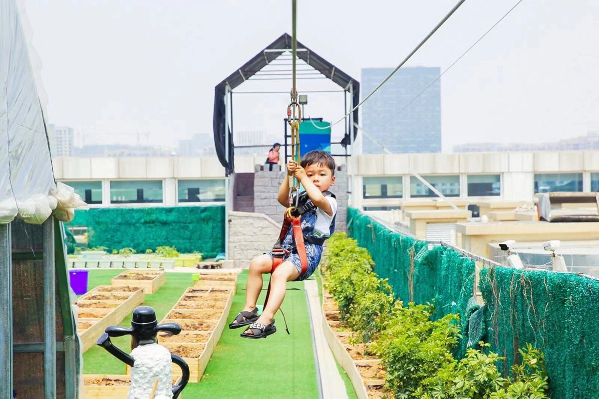 Zip Line (14)