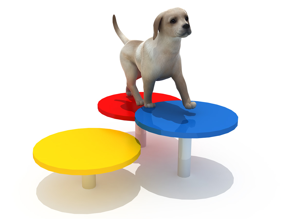 playground pets (1)