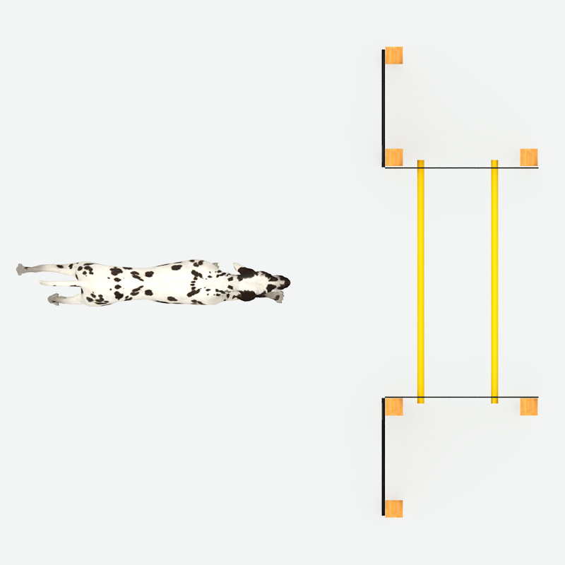 Rover Jump Over， Pet Playground Game Factory