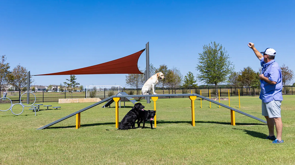pet playground game (2)