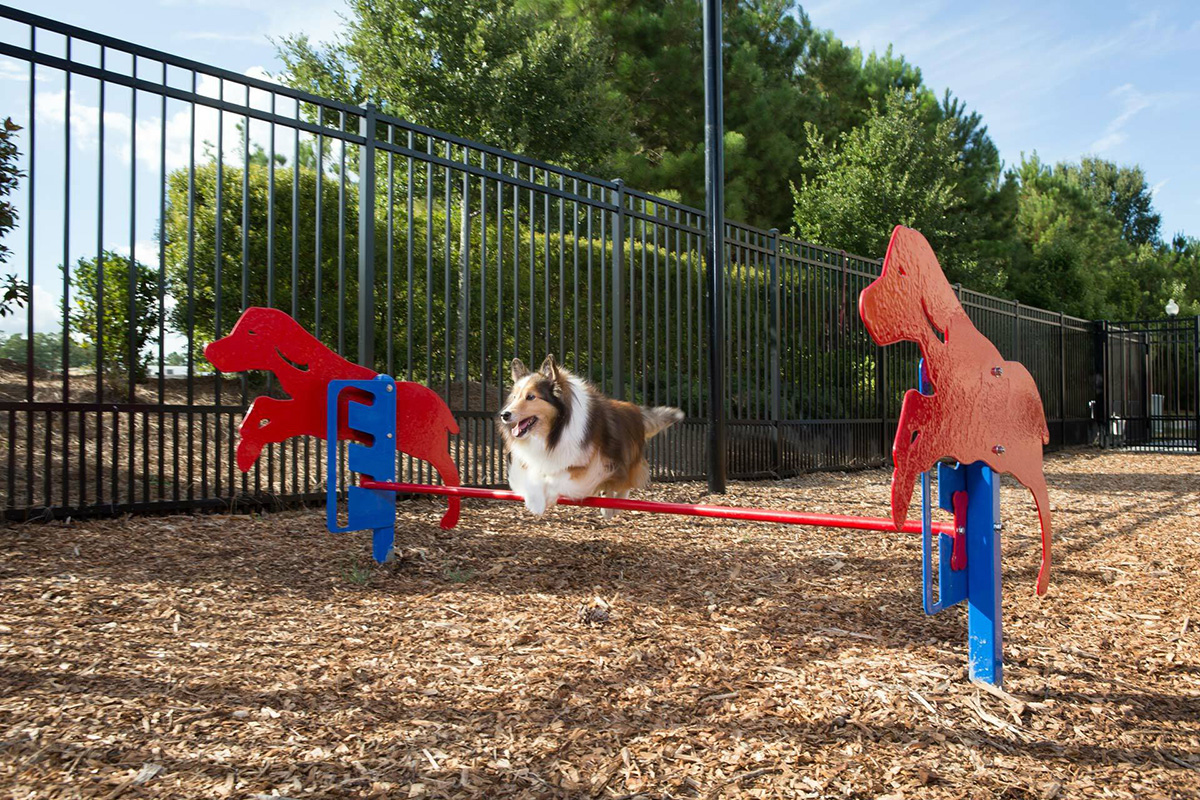 pet playground game (4)
