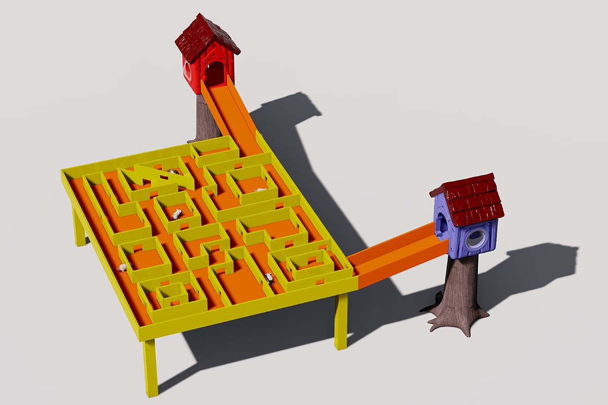 Rodent activity tunnel systems (2)