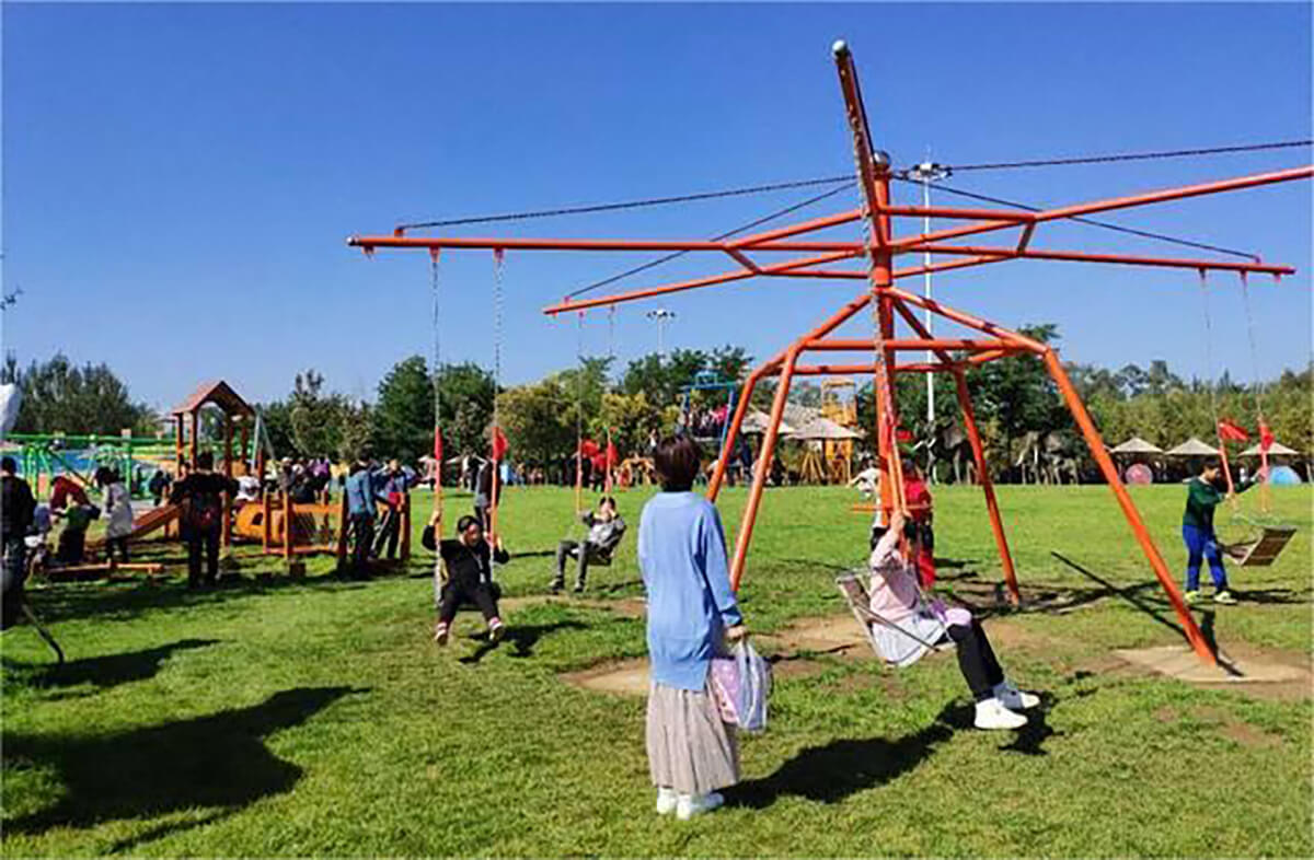 Whirly swing (12)