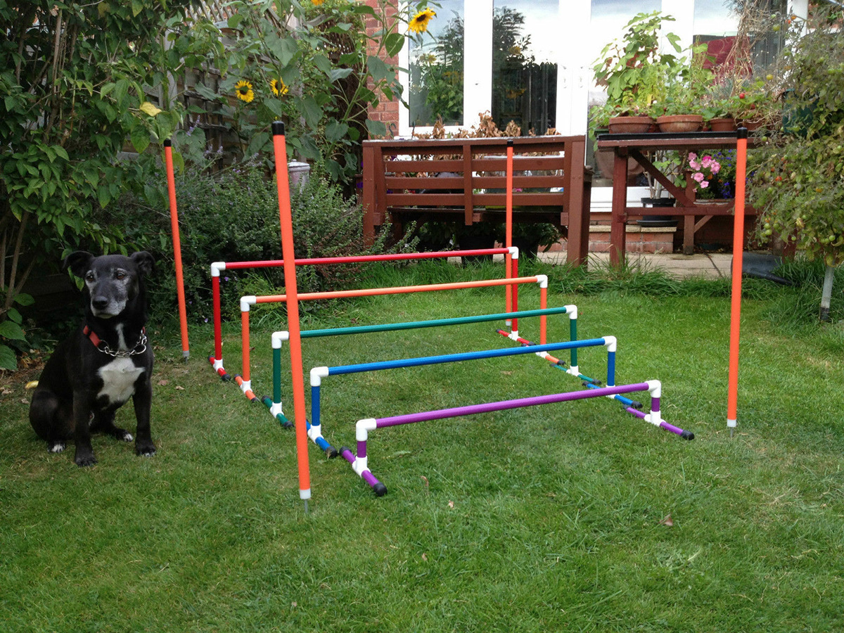 pet playground equipment (3)