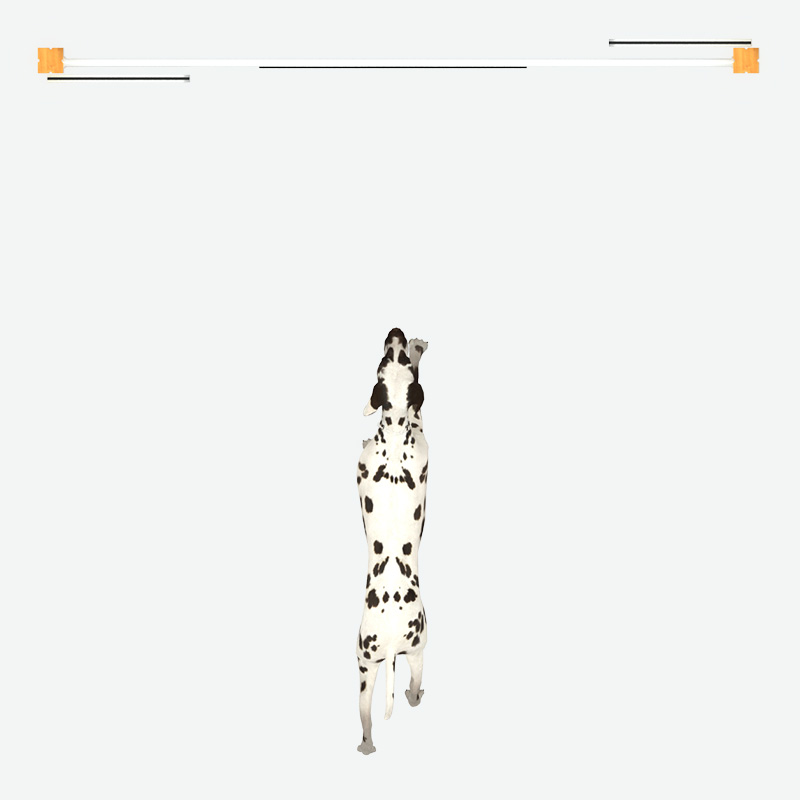 Hoop Poles Bar Jump，Pet Playground Game Supplier