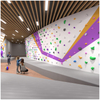 Custom Indoor Climbing Wall for Malls & Bouldering Gyms