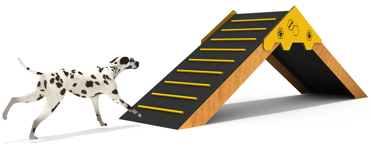 pet playground equipment (1)