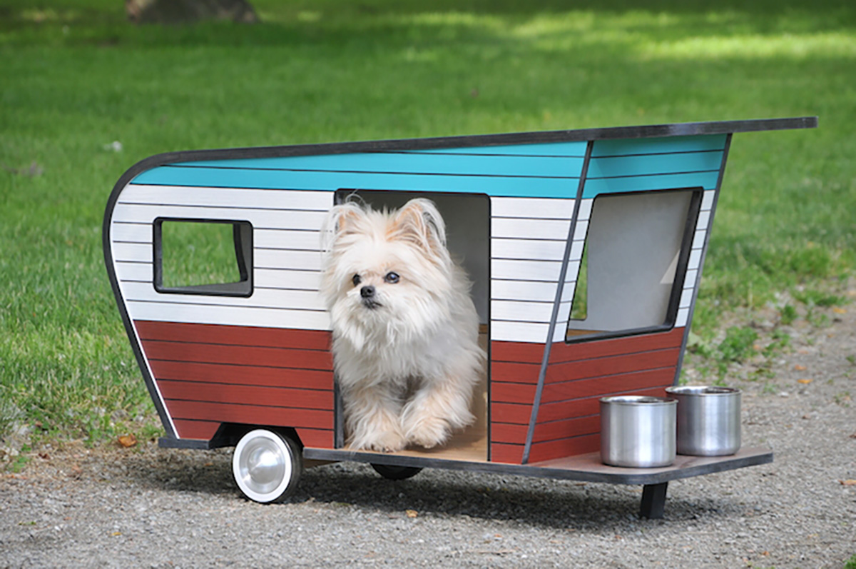 pets playground (1)