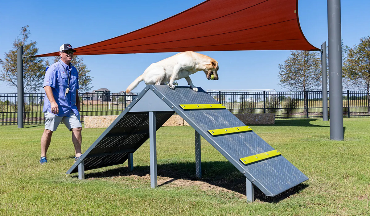 pet playground game (3)