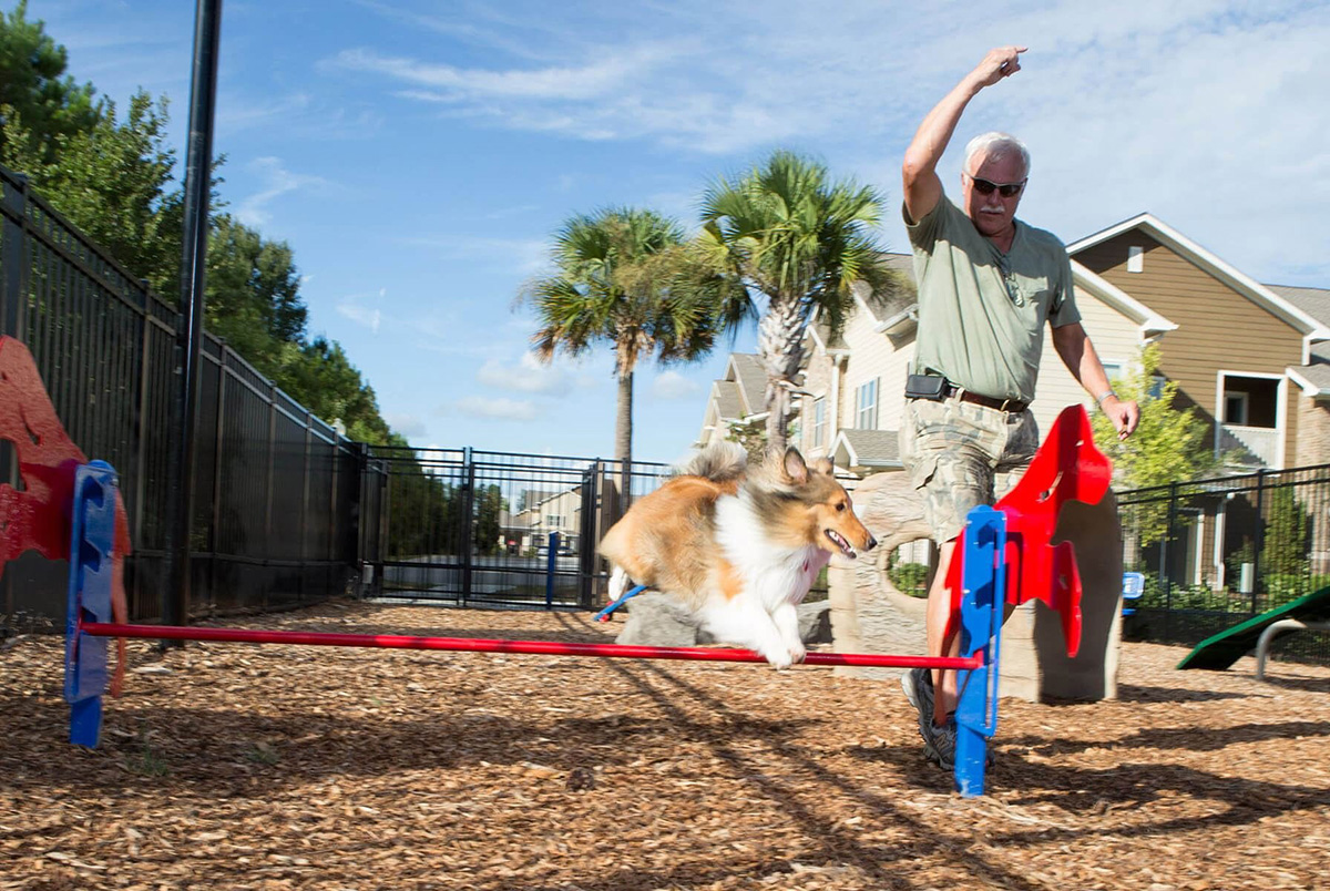 pet playground game (2)