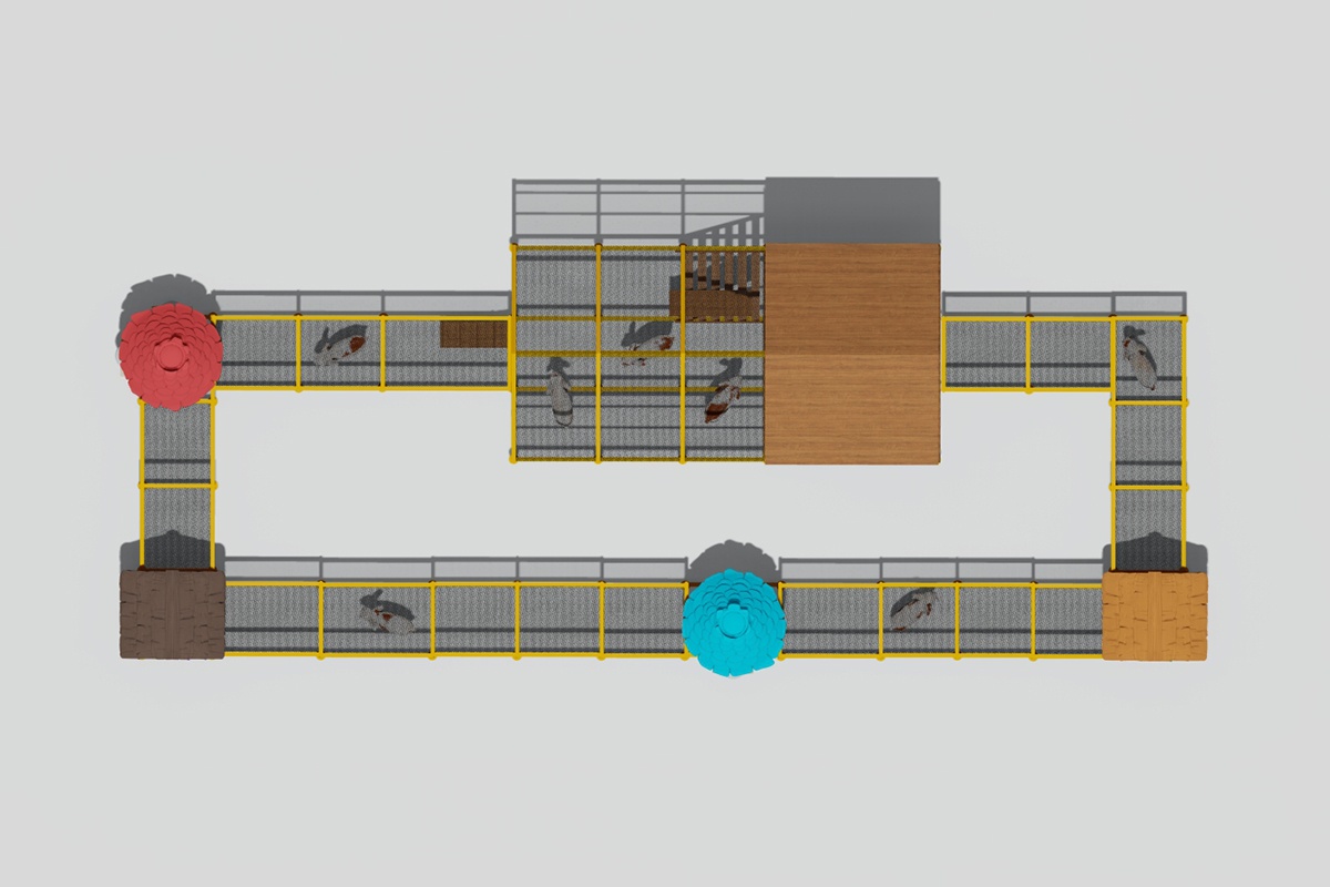 Rabbit agility equipment3