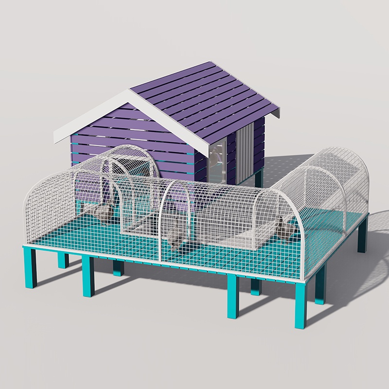 Interactive Poultry Playground Equipment for Pet Playground