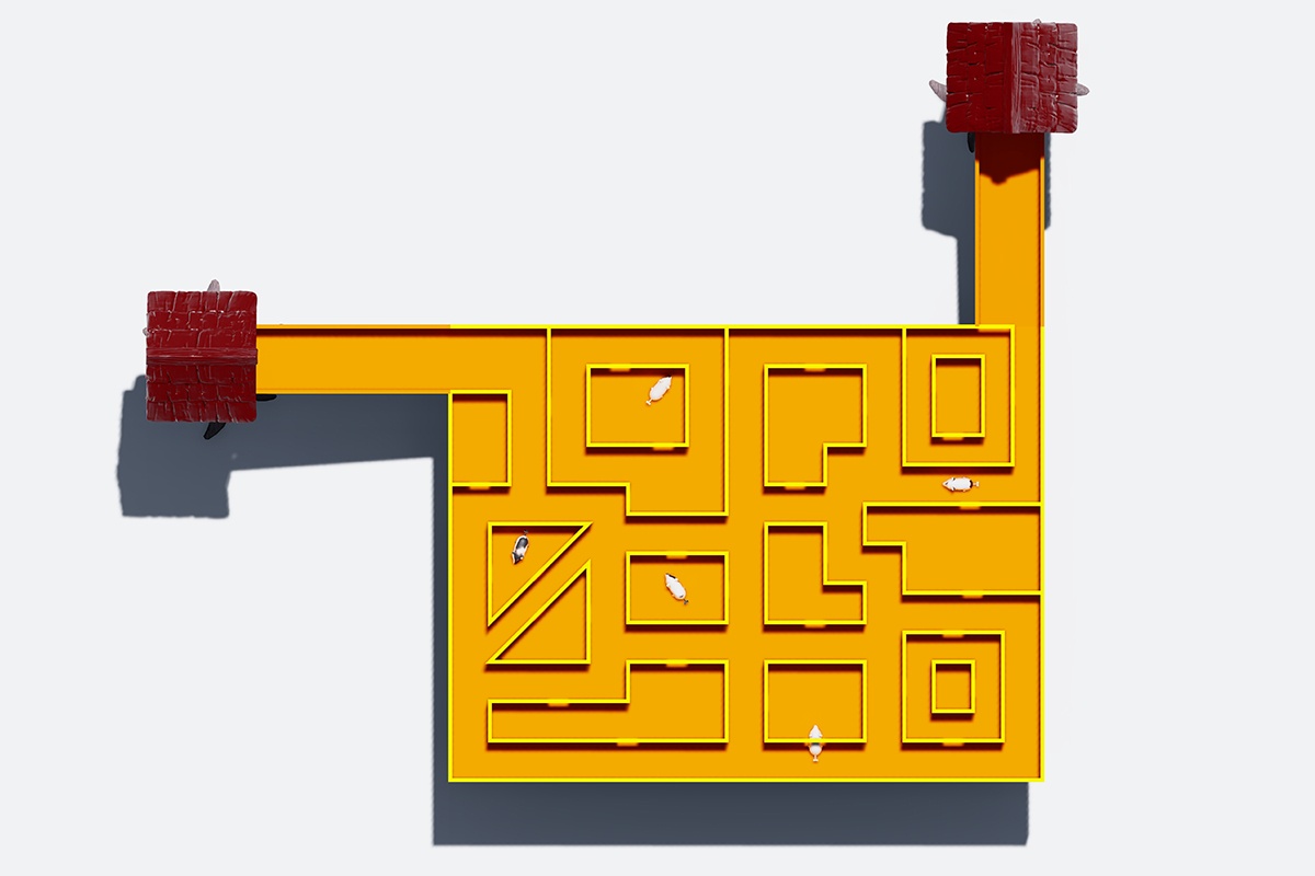 Rodent activity tunnel systems (3)