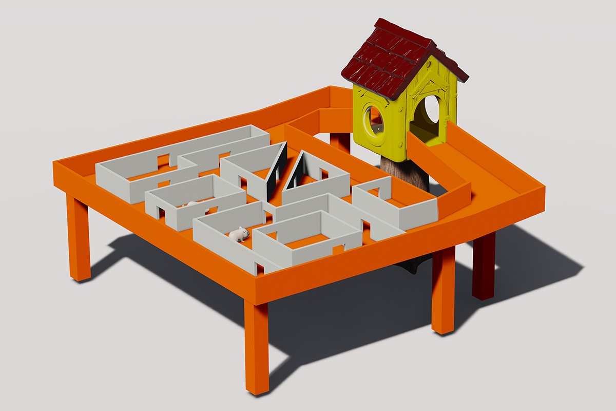 Sensory enrichment guinea pig maze (1)