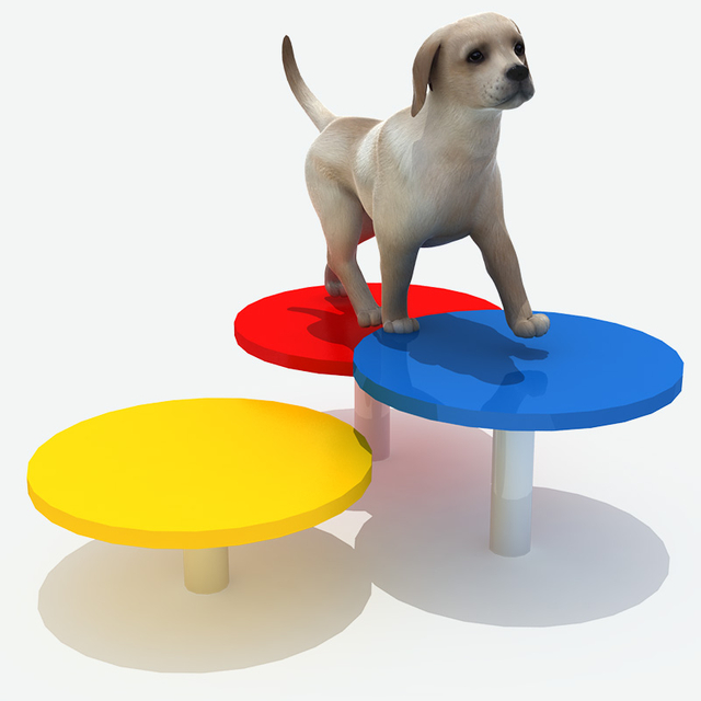 Stepping Paws，Pet Playground Equipment Manufacturer