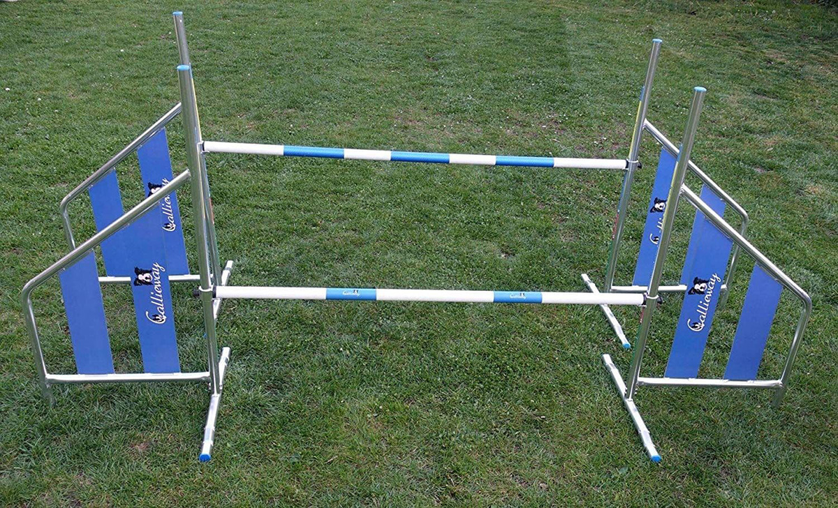 pet playground equipment (2)