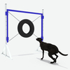 Hoop Poles Bar Jump，Pet Playground Game Supplier