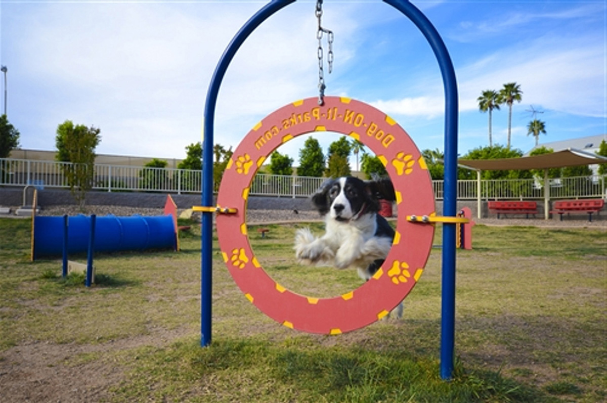 pet playground game (2)