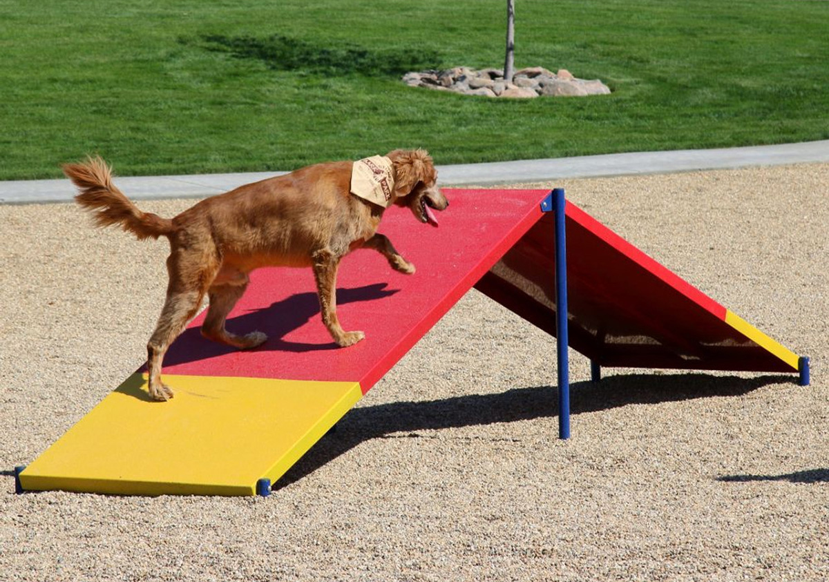 pet playground game (2)