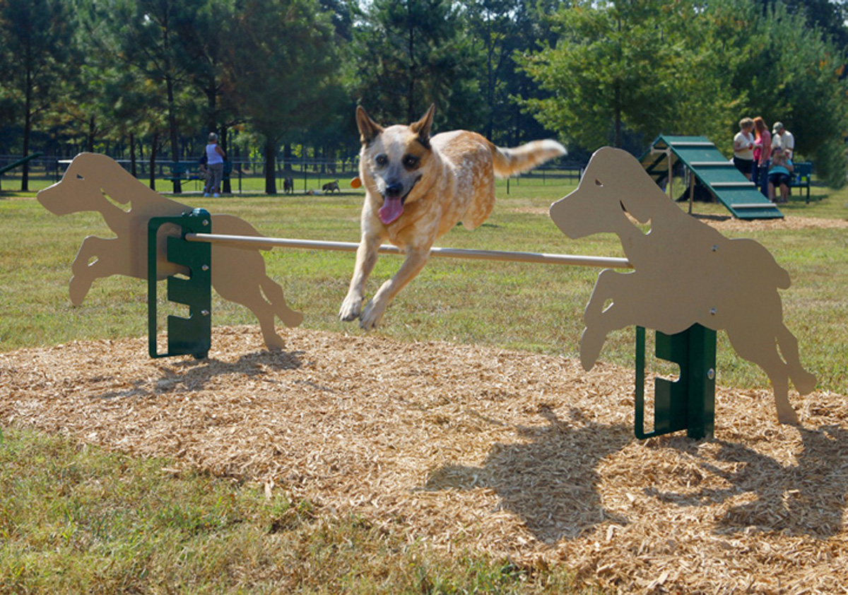 pet playground game (1)
