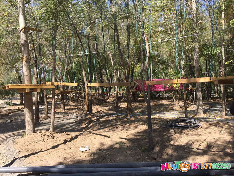 Jungle Expansion + Physical Training + Outdoor Expansion Equipment (7)