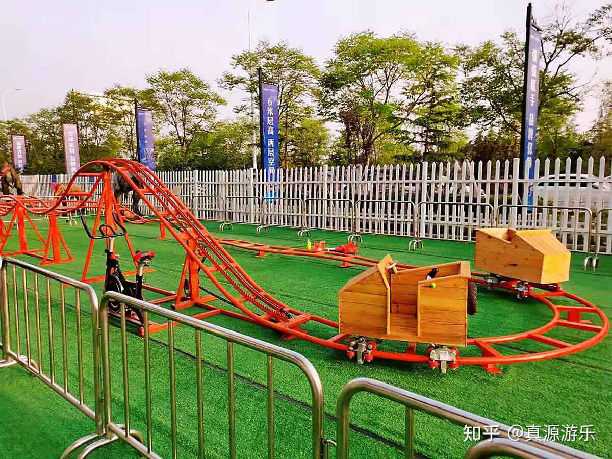 roller coaster (11)