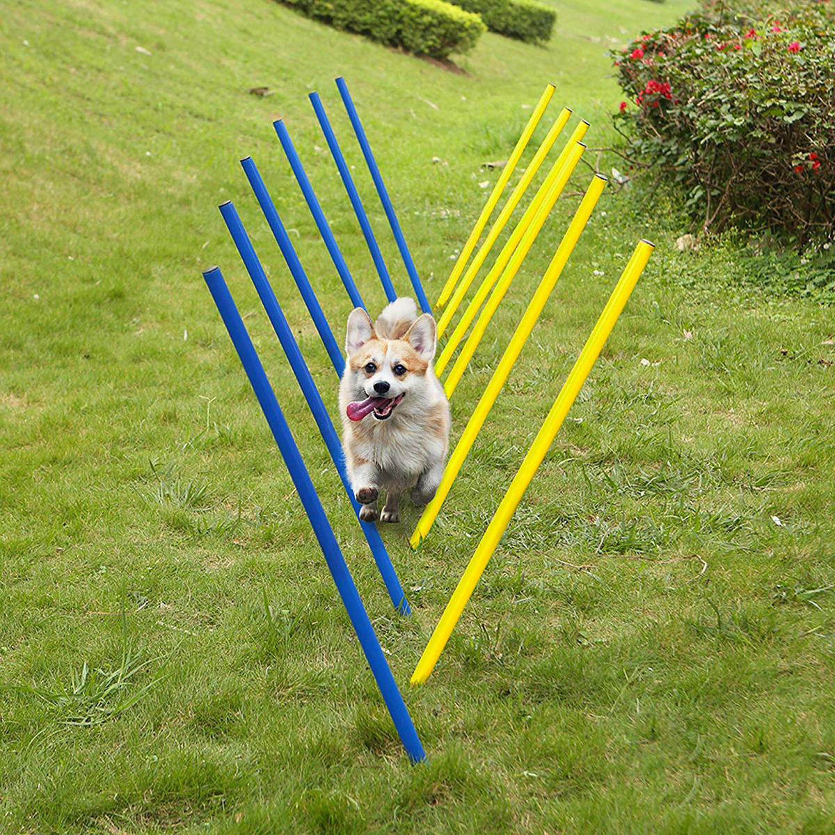 pet playground game (1)