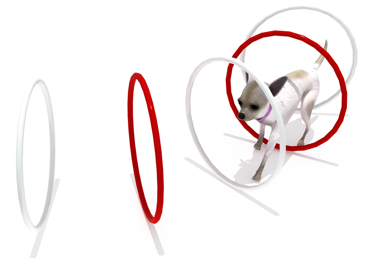 pet playground equipment (1)