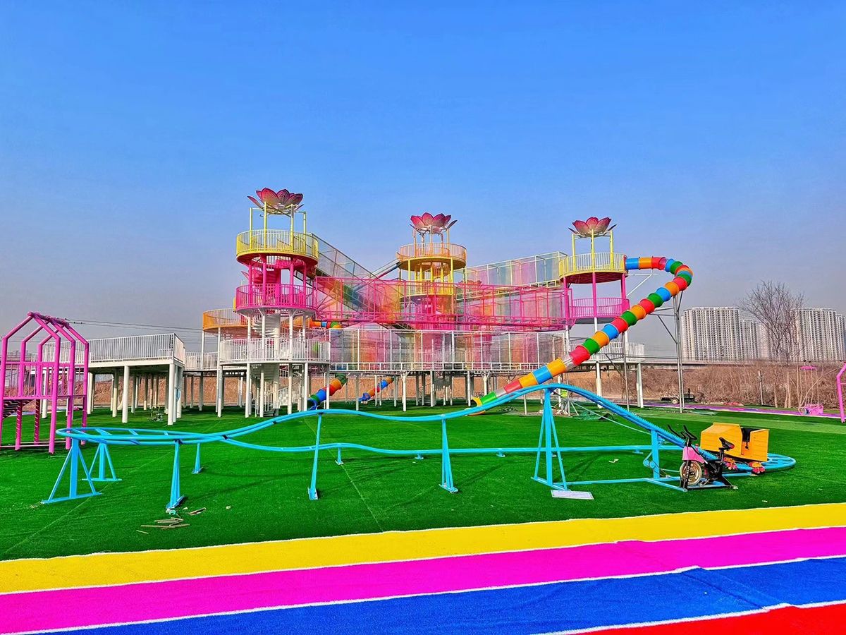 roller coaster (13)