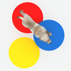 Stepping Paws，Pet Playground Equipment Manufacturer