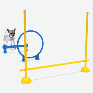 Drill Ring Combination，Pet Playground Equipment Supplier