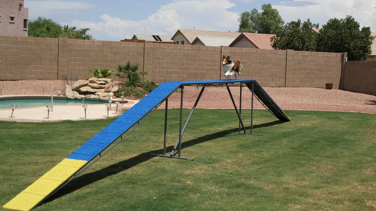 pet playground game (1)
