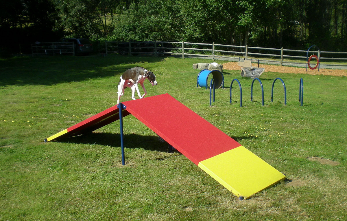 pet playground game (4)