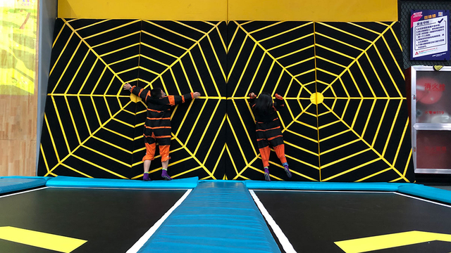 Spider-Wall