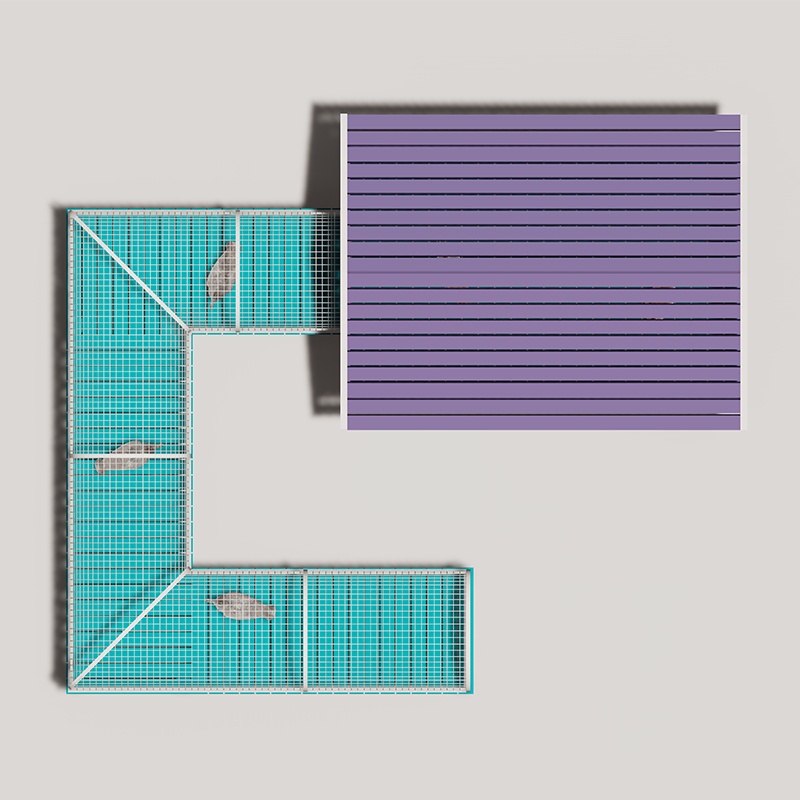 Interactive Poultry Playground Equipment for Pet Playground