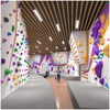 Custom Indoor Climbing Wall for Malls & Bouldering Gyms