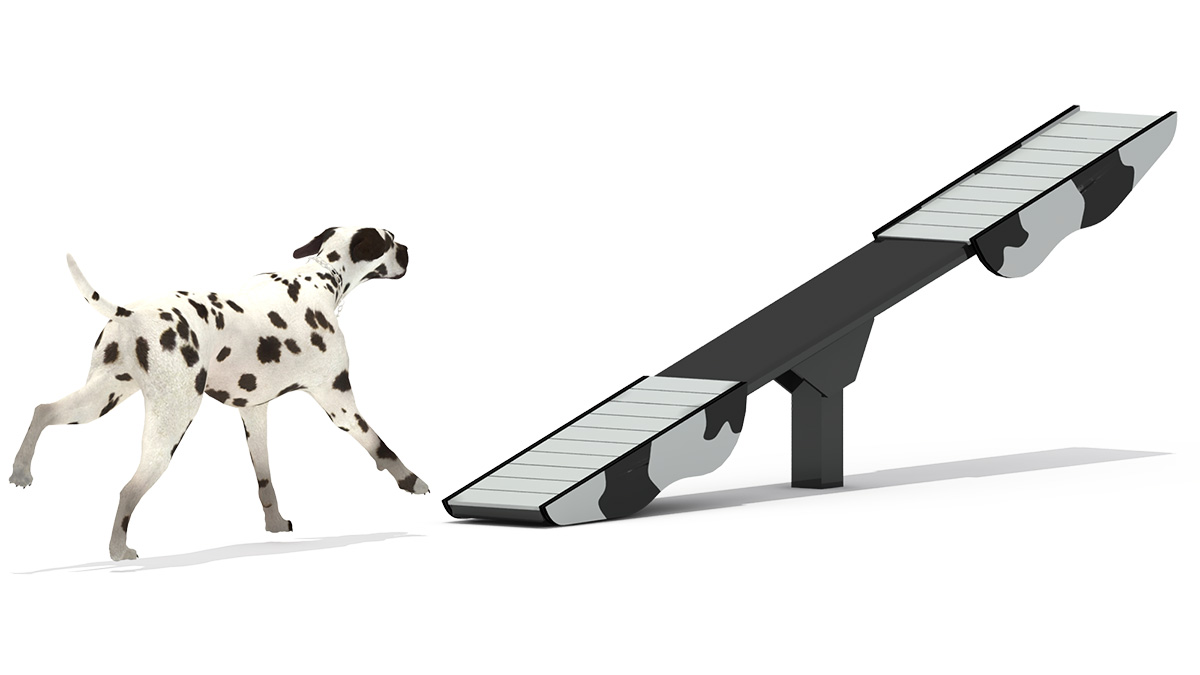 pet playground equipment (1)