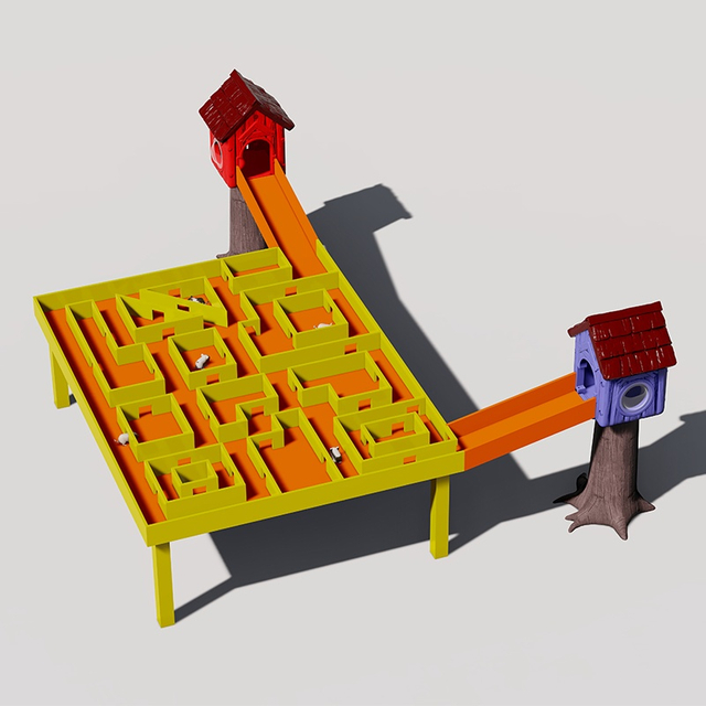 Wonder Maze: Interactive Pet Playground for Guinea Pigs 