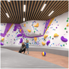 Custom Indoor Climbing Wall for Malls & Bouldering Gyms