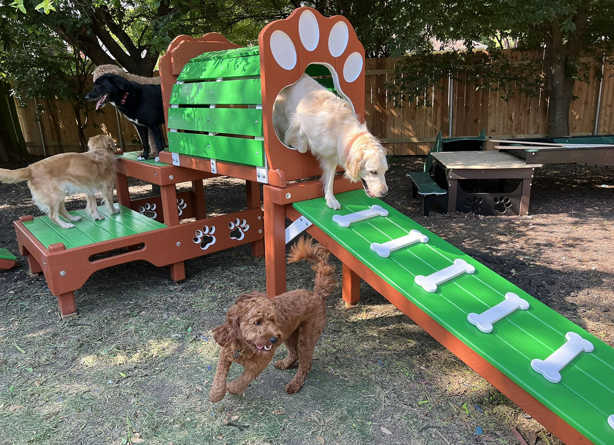 playground pets (1)
