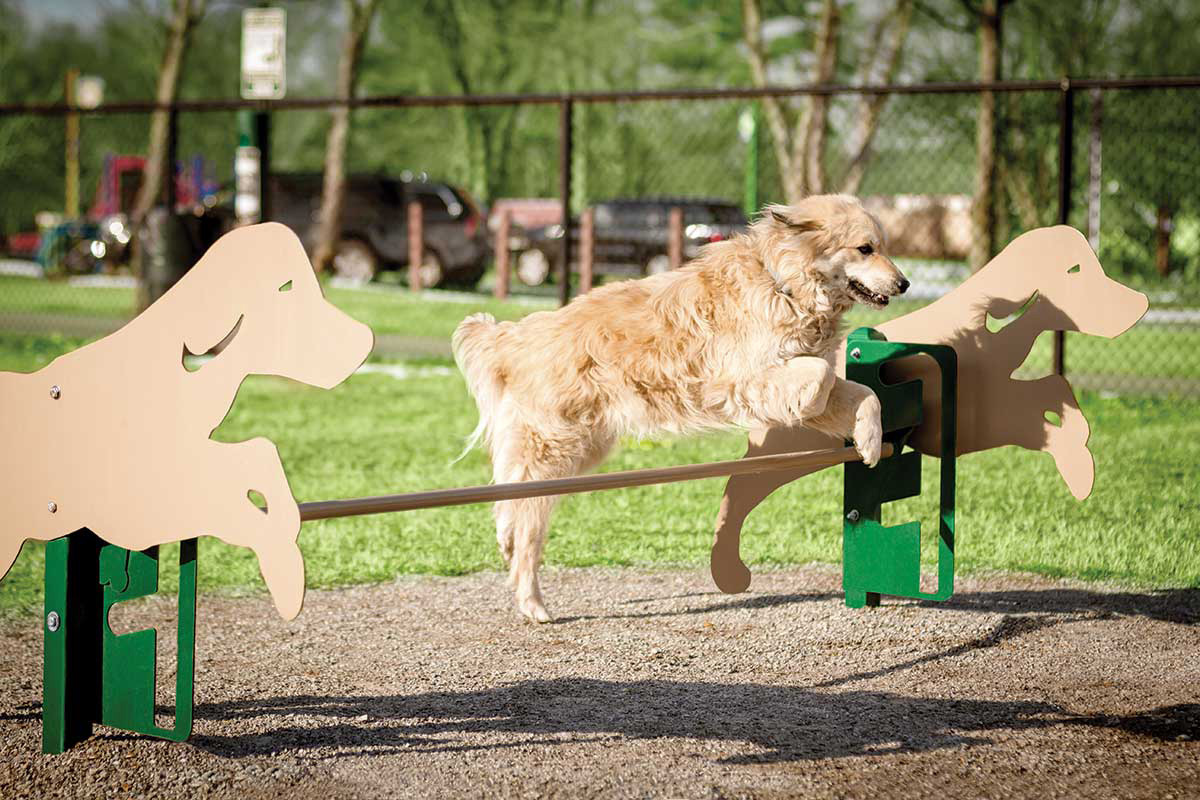 pet playground game (5)
