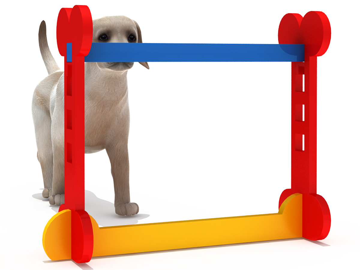 pet playground equipment (1)