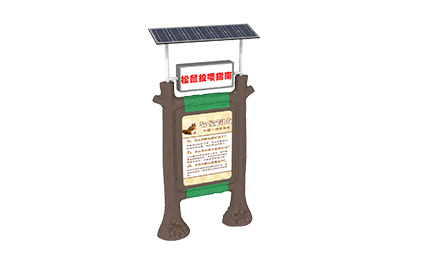 Squirrel Feeding Guide