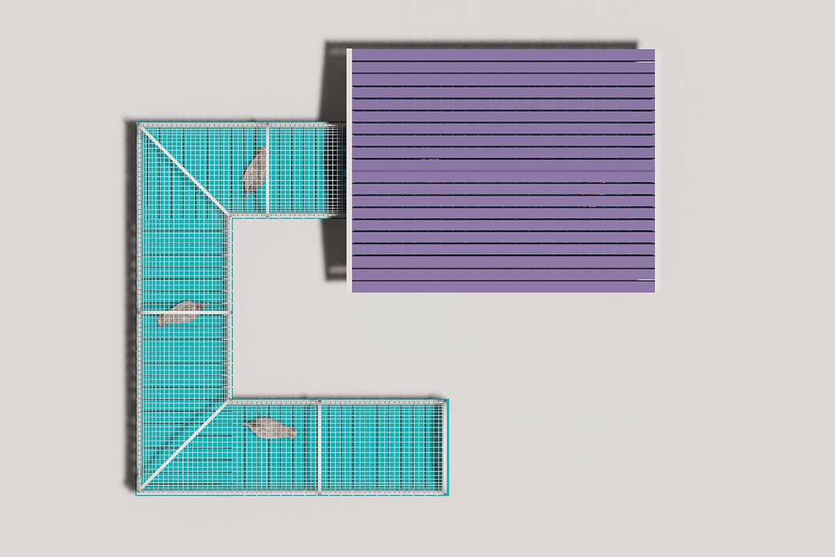 Poultry playground feeder3