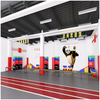 Customized Kids & Adults Indoor Agility Obstacle Course