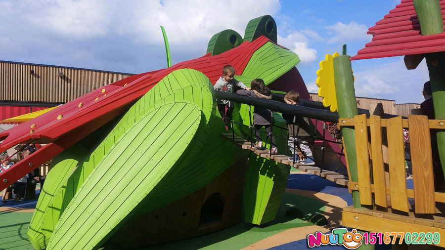 Non-standard ride + frog combination park + slide + children's play facilities (3)