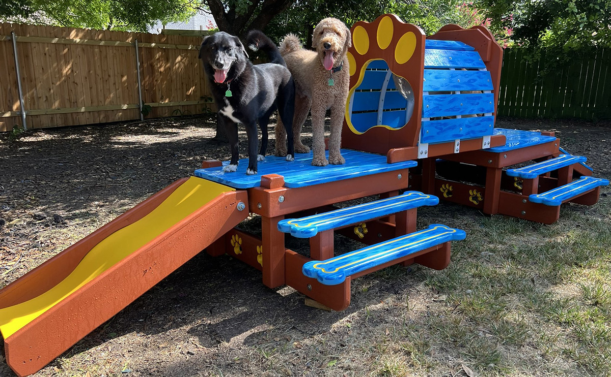 playground pets (2)