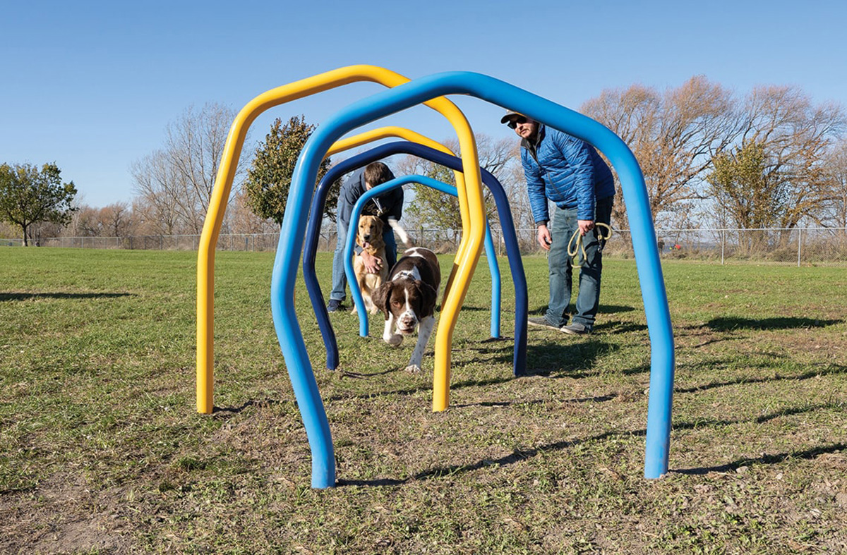 pet playground game (4)