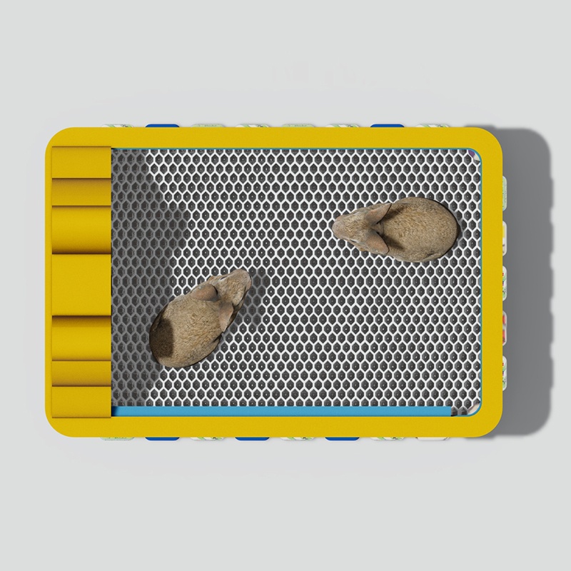 Interactive Rabbit Feeding Box & Pet Playground Activity Center 